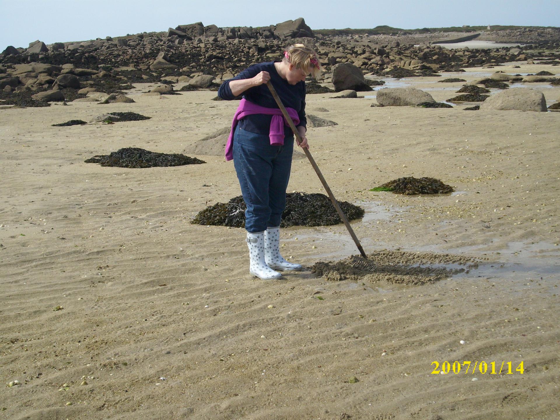 pêche à pied