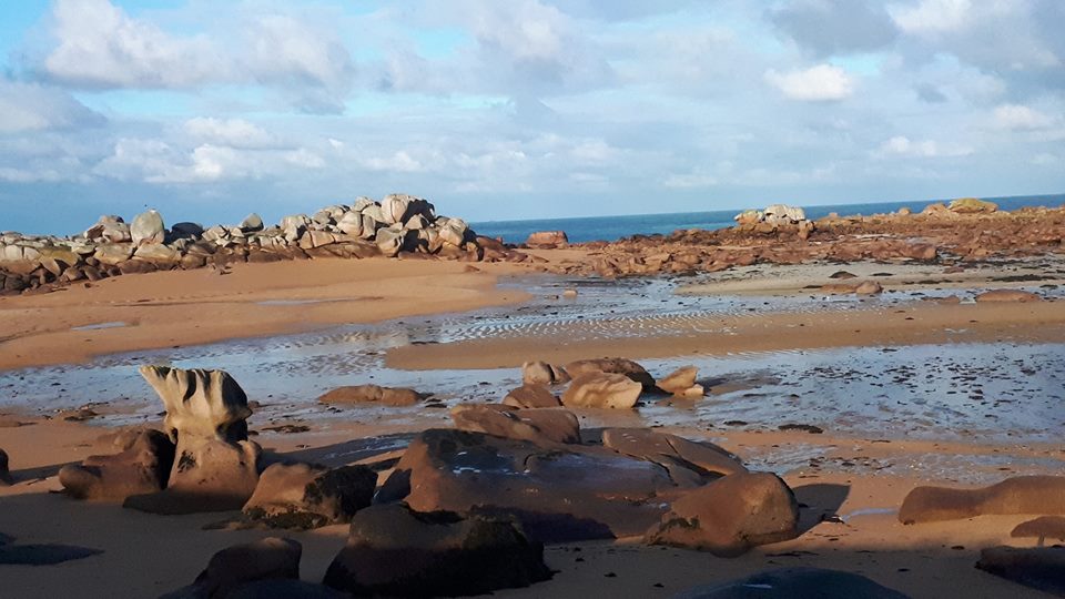 marée basse